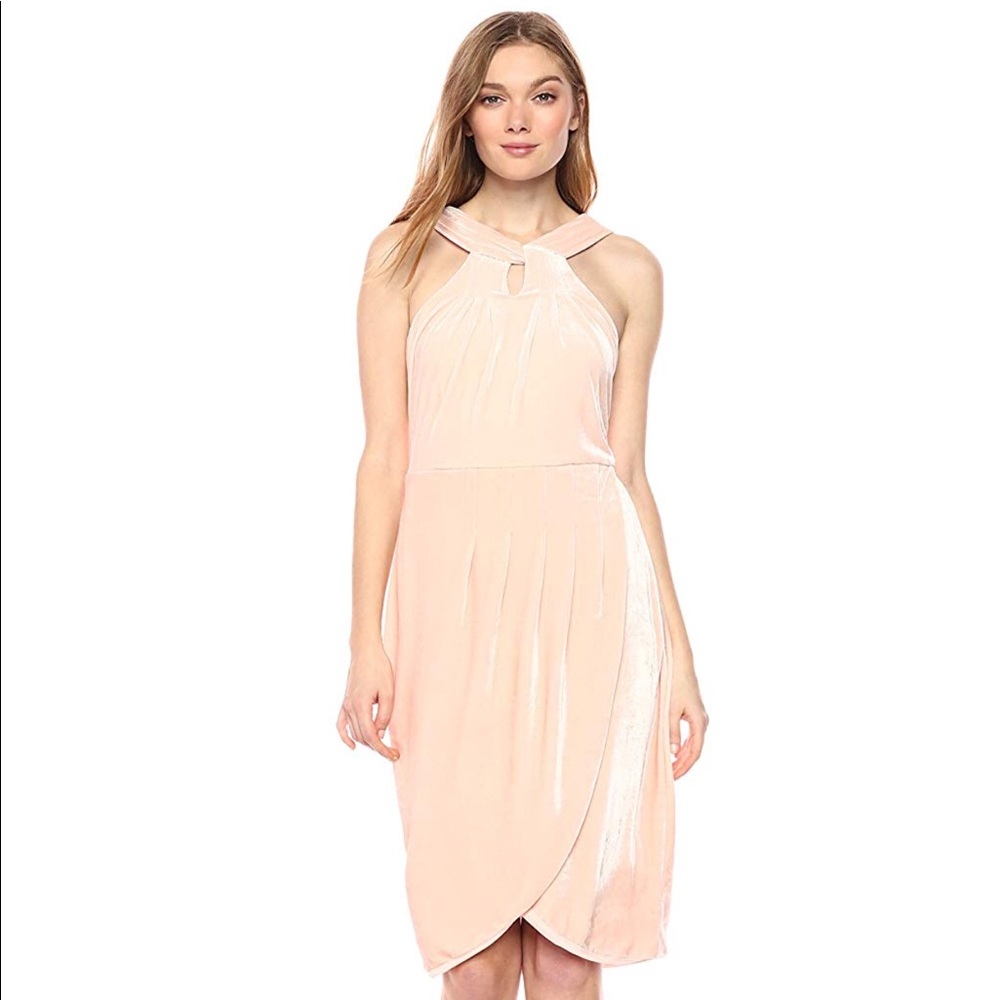 Anthropologie Rose Smoke Velvet Dress NWT & NWOT